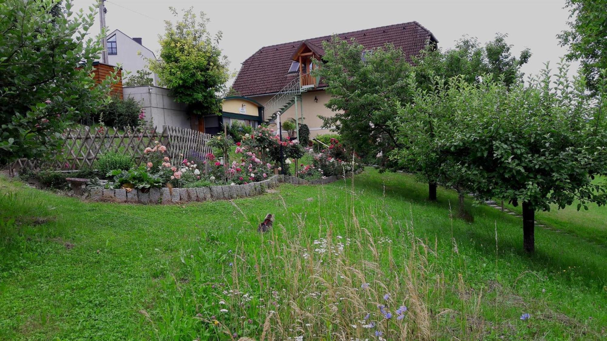 Soravia Appartement *